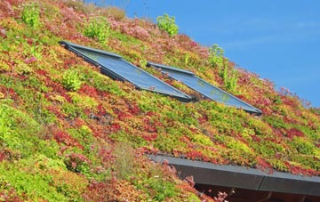 Lunt living roof systems